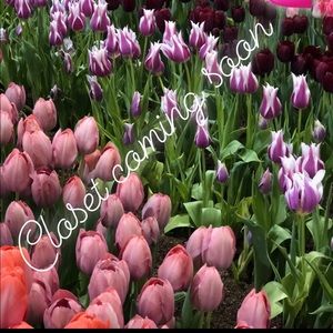 Closet coming soon ... be on the lookout 💕